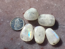 Load image into Gallery viewer, Rainbow moonstone tumbles