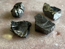 Load image into Gallery viewer, Shungite noble sm 4pack