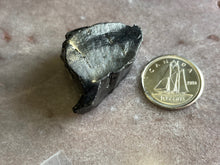 Load image into Gallery viewer, Shungite noble 1 piece