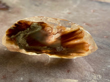 Load image into Gallery viewer, Amphibole Quartz 22