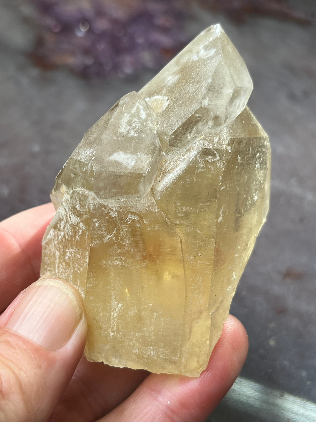 Elestial quartz with Citrine