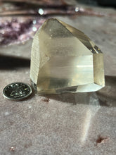 Load image into Gallery viewer, Lemurian Portal 4 L4
