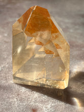 Load image into Gallery viewer, Lemurian Portal 7 L7
