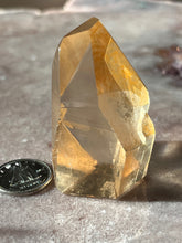 Load image into Gallery viewer, Lemurian Portal 7 L7
