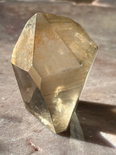 Load image into Gallery viewer, Lemurian portal 10 L10
