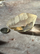 Load image into Gallery viewer, Lemurian portal 11 L11
