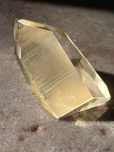 Load image into Gallery viewer, Lemurian portal 14 L14
