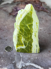 Load image into Gallery viewer, Noble Serpentine 1
