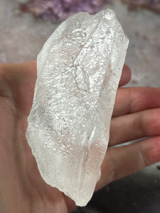 Lemurian Root 1