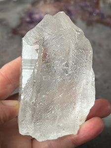 Lemurian Root 4