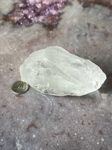 Lemurian Root 4