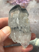 Load image into Gallery viewer, Black Phantom Lemurian 2
