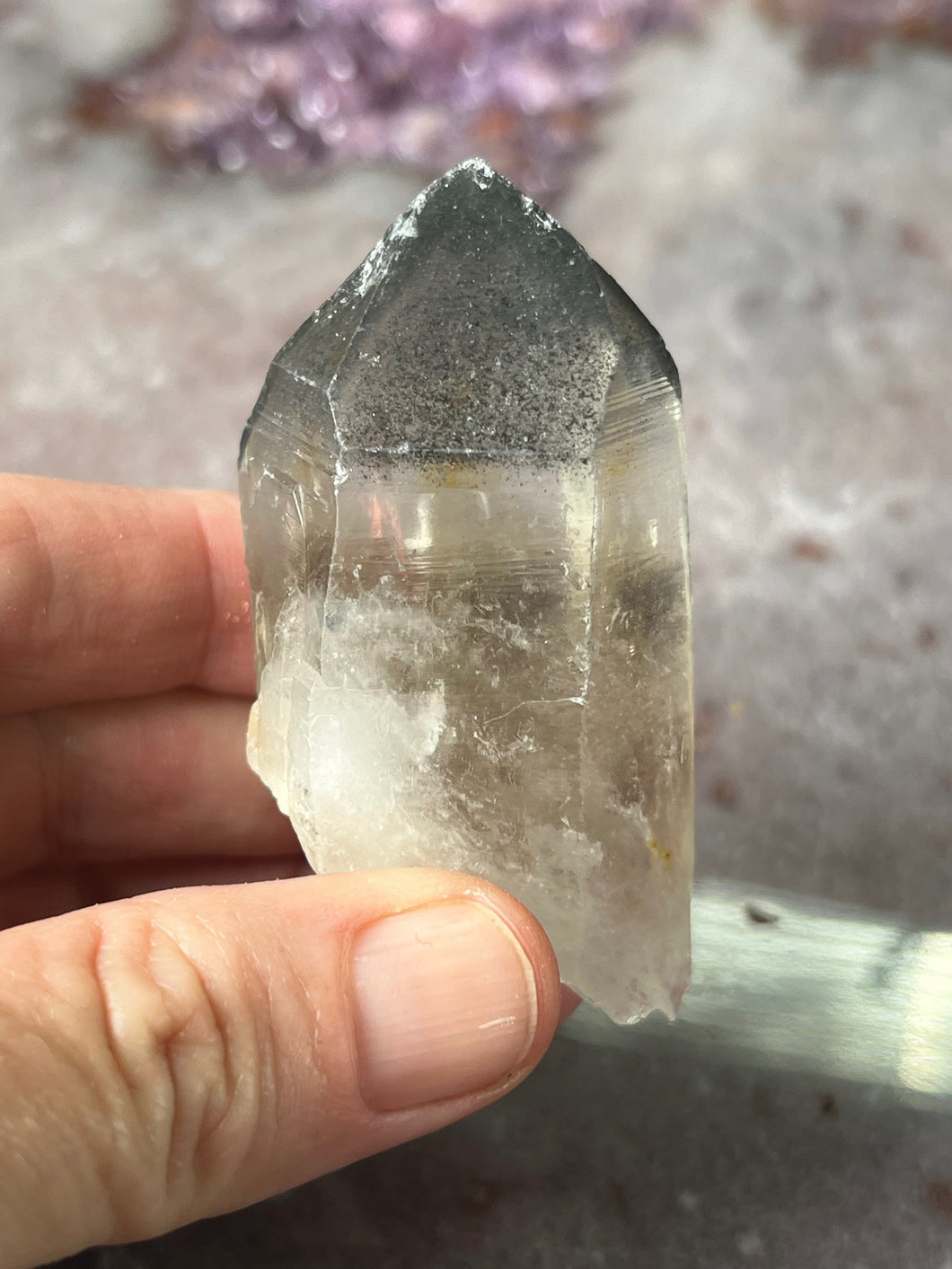 Black Phantom Lemurian 4