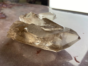 Lemurian smoky quartz 31
