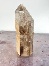 Load image into Gallery viewer, Lodolite phantom quartz 1
