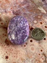 Load image into Gallery viewer, Charoite palm stone 5
