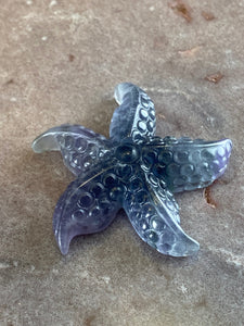 Fluorite starfish 16