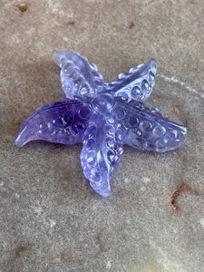 Fluorite starfish 14