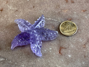 Fluorite starfish 14