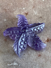Load image into Gallery viewer, Fluorite starfish 8
