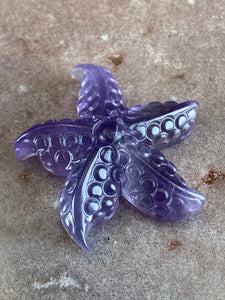 Fluorite starfish 8
