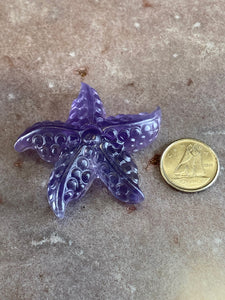 Fluorite starfish 8