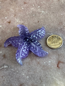Fluorite starfish 3