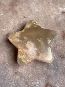 Flower Agate Star 4