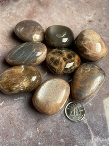 Black Moonstone and Sunstone tumble