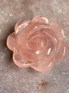 Rose Quartz rose - intuitively picked