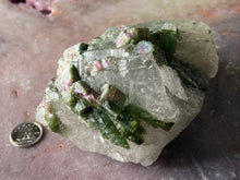 Load image into Gallery viewer, tourmaline in quartz 5 - watermelon
